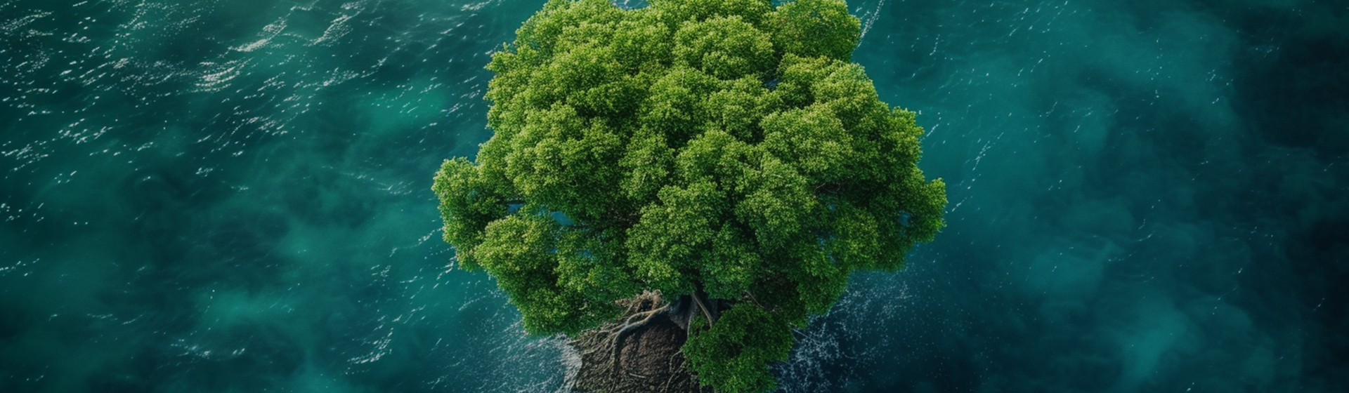 شرکت فناوری فویل آلومینیوم Ningbo Aikang ، Ltd.